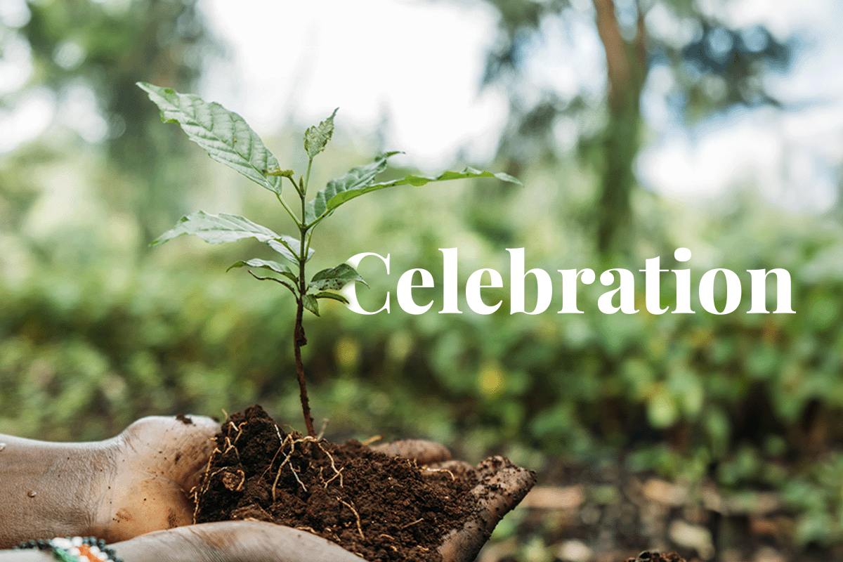A popup treeplanting celebration Kenya's 15 billion trees quest